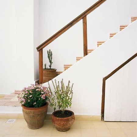 Dar Lazuli Bed & Breakfast Essaouira Exterior photo